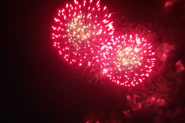    Фото:  АиФ/ Никита Ломсков