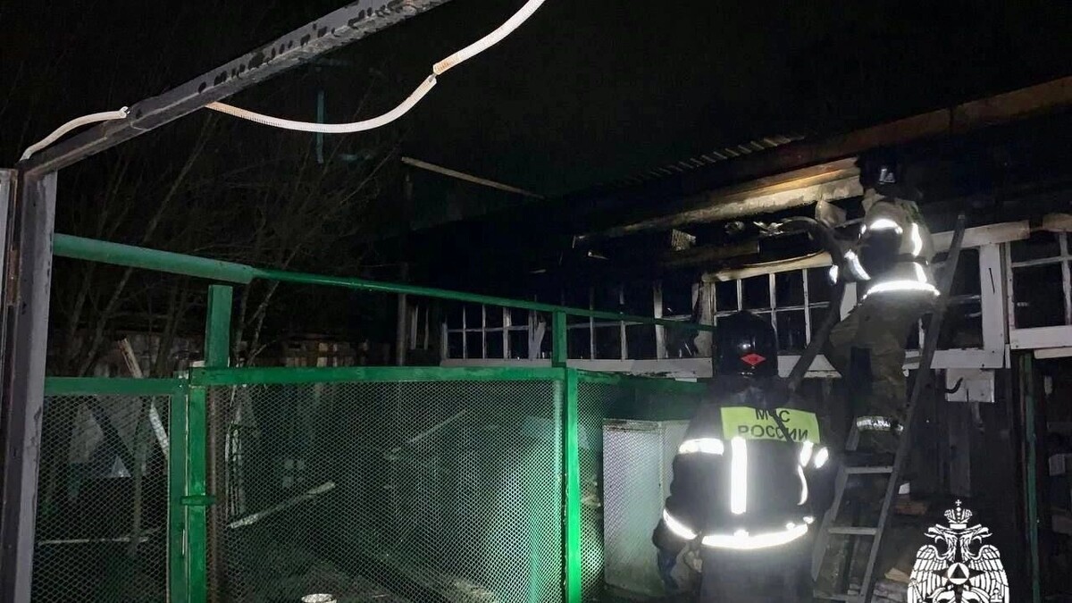     Источник: t.me/ГУ МЧС по Удмуртии