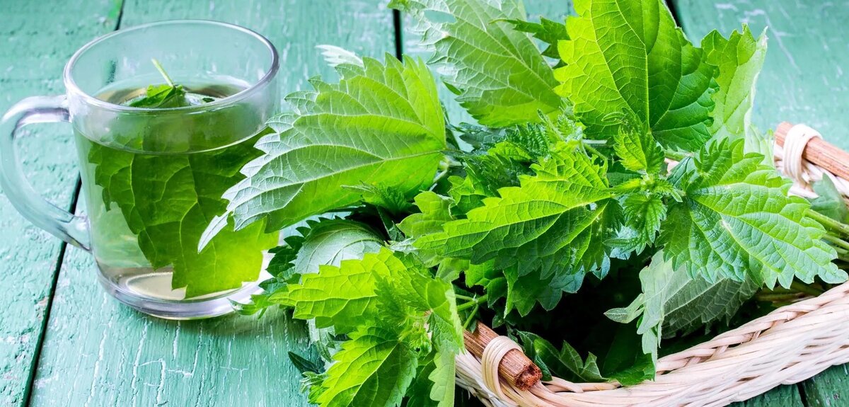 фото из интернета