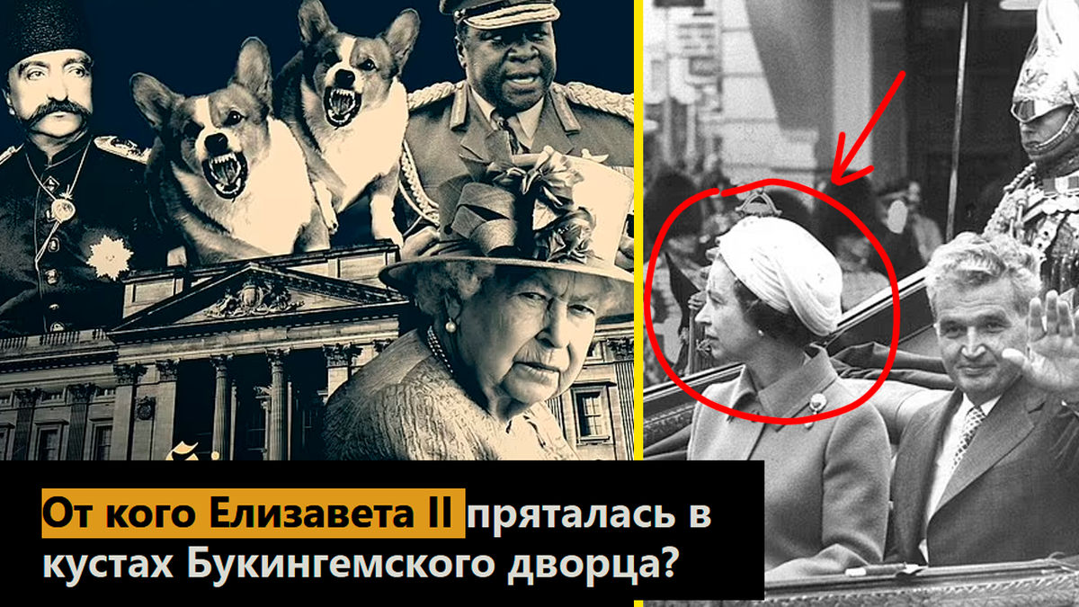 От кого Елизавета II пряталась в кустах Букингемского дворца? 