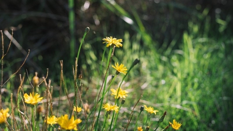 Фото: @alexphotos / freepik.com