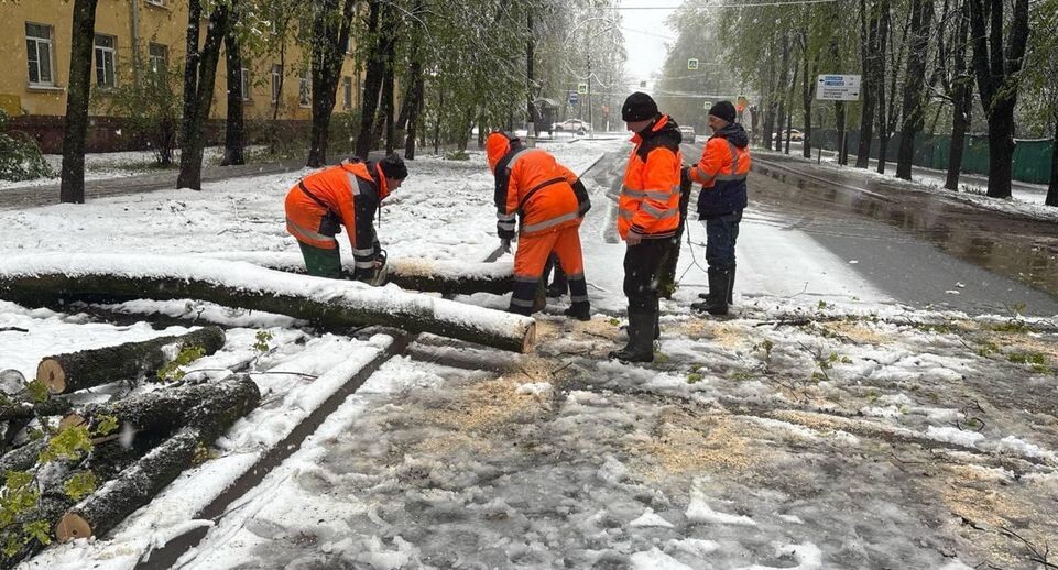    глава городского округа Пушкинский Максим Красноцветов / Telegram