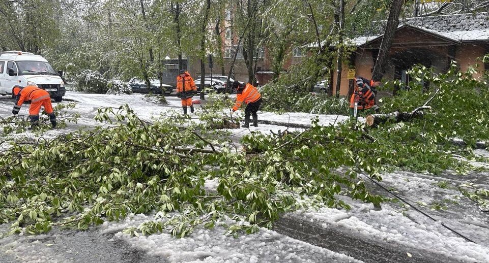     глава городского округа Пушкинский Максим Красноцветов / Telegram