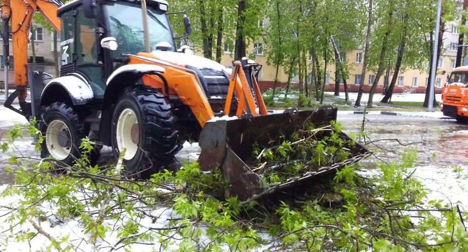     глава городского округа Пушкинский Максим Красноцветов / Telegram