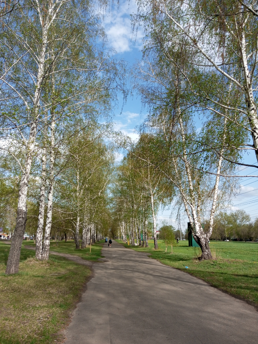 Здесь я гуляю. Эта дорога ведёт в торговый центр, где я снимаю для вас обзоры. 