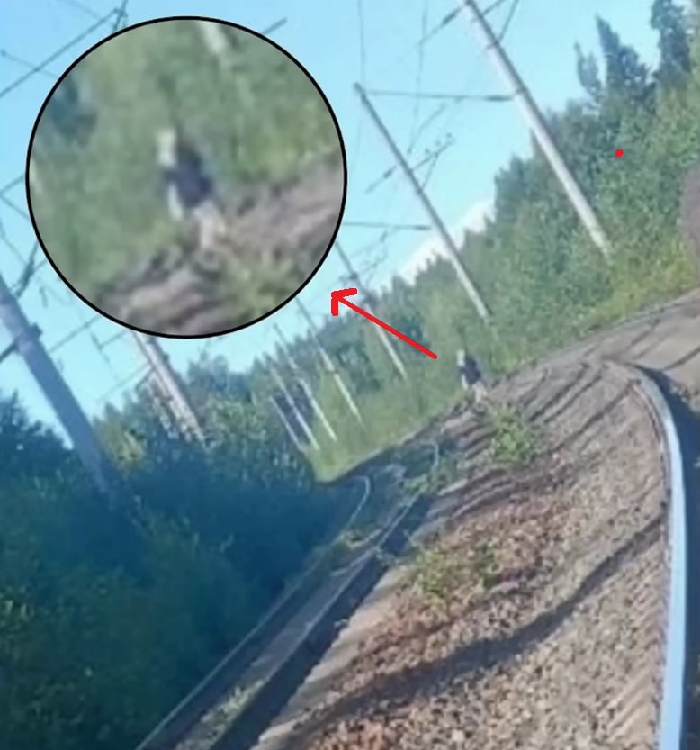 Фото: СК РФ / соцсети