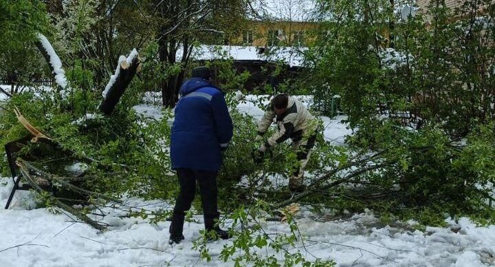     Глава Талдомского городского округа Юрий Крупенин / Telegram