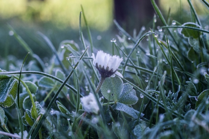    Фото: ГУ МЧС России по Ростовской области Редактор
