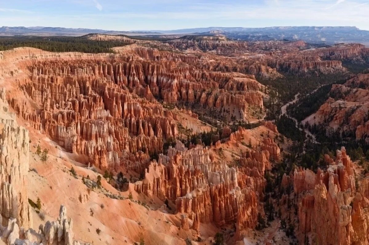    В США кошка выжила после падения в каньон с высоты 120 метров