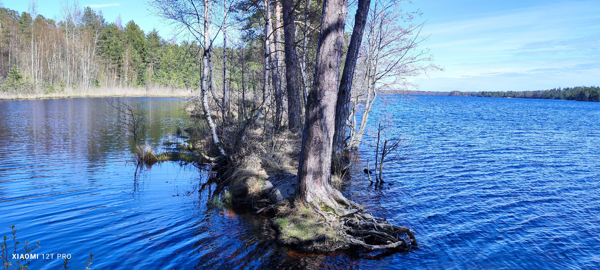 Озеро (фото автора).