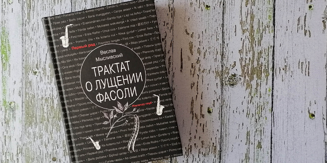 Роман Веслава Мысливского «Трактат о лущении фасоли»: воспоминания под шелухой повседневности