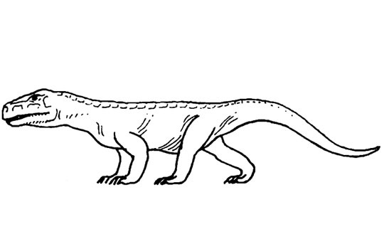 Донгузух. Зарисовка.