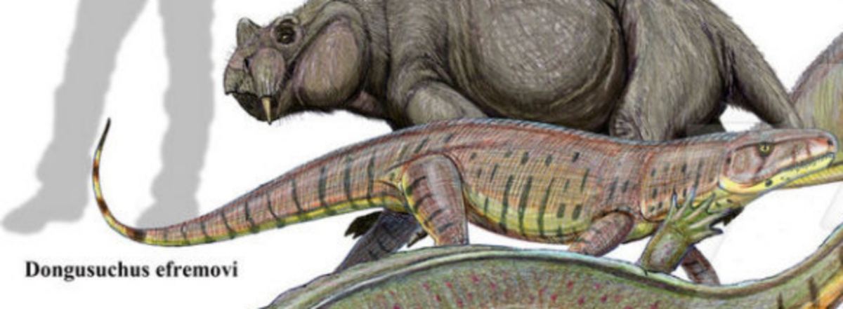 Донгузух от Дмитрия Богданова.