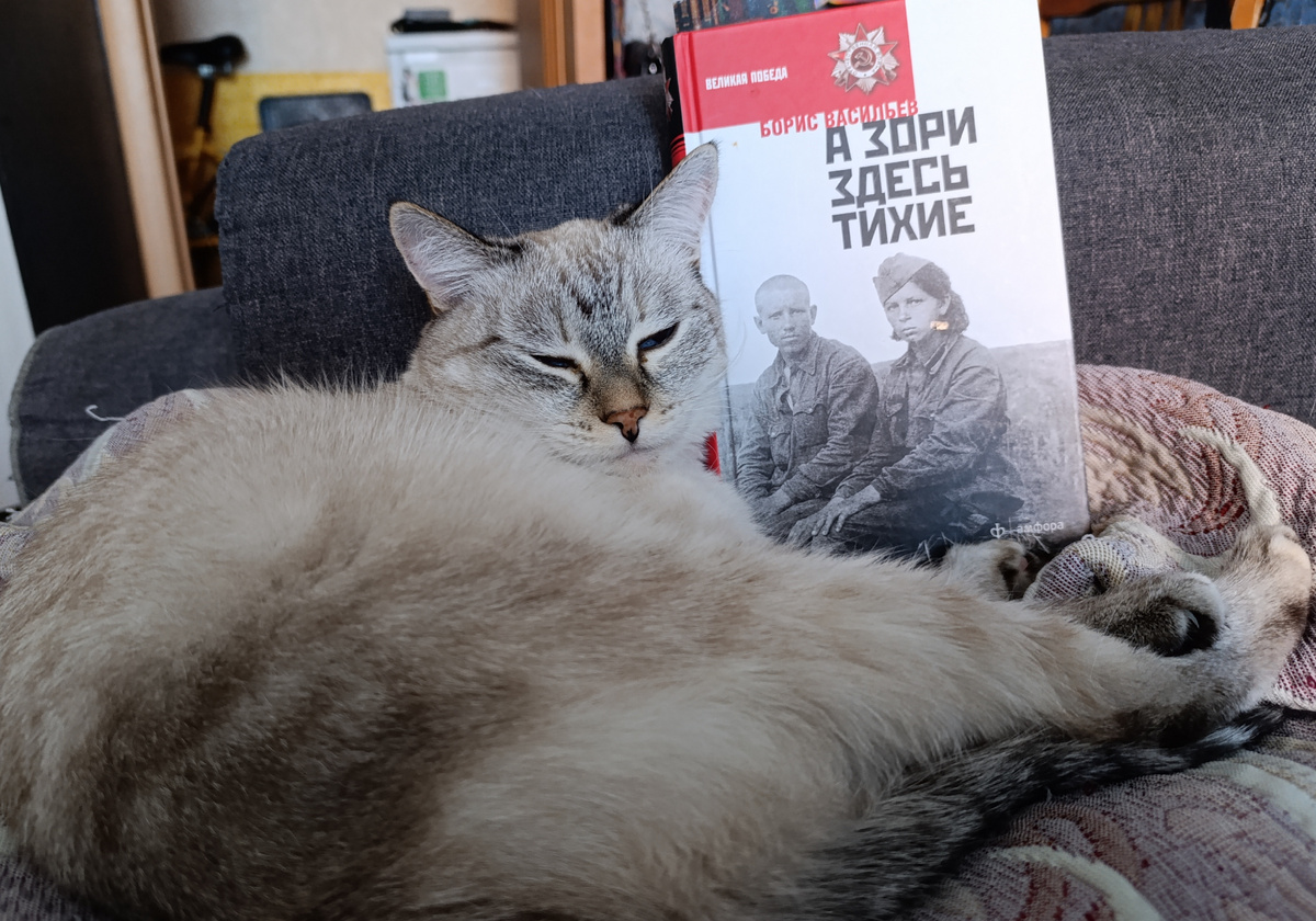 Сегодня книгу из серии "Великая Победа", изданную к 70 - летнему юбилею Победы, из домашней библиотеки, представляет Дженька. 