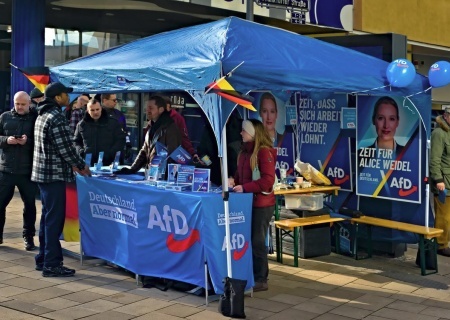    Партию АдГ признали в Германии правоэкстремистской