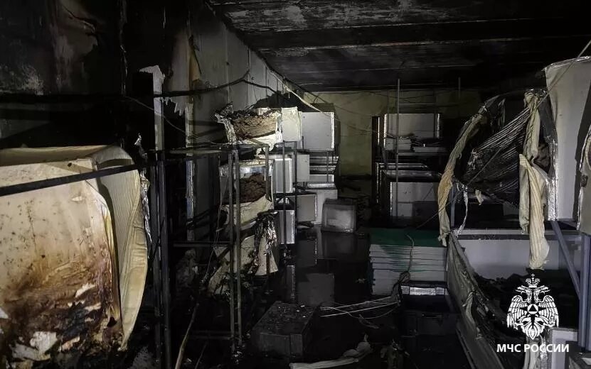    Второй пожар произошел на ферме тараканов и сверчков в Ижевске