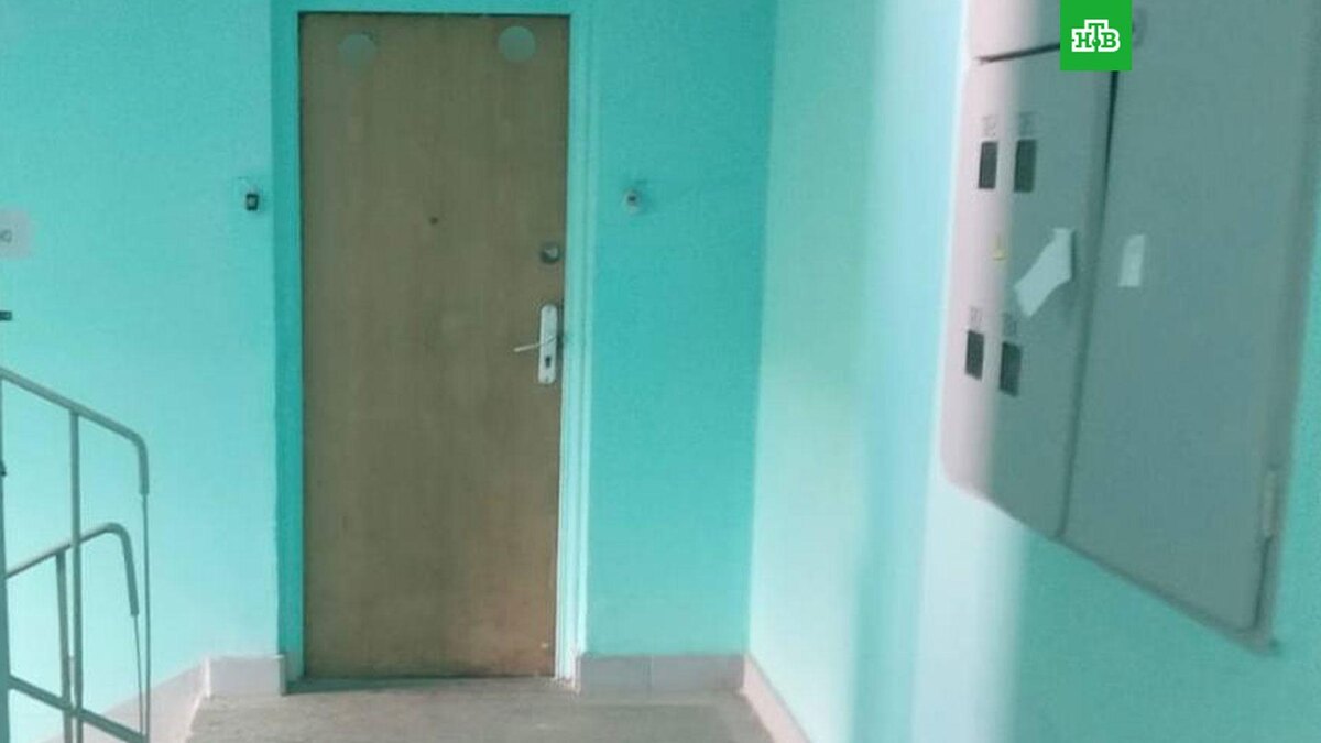    Фото: moscowproc / t.me