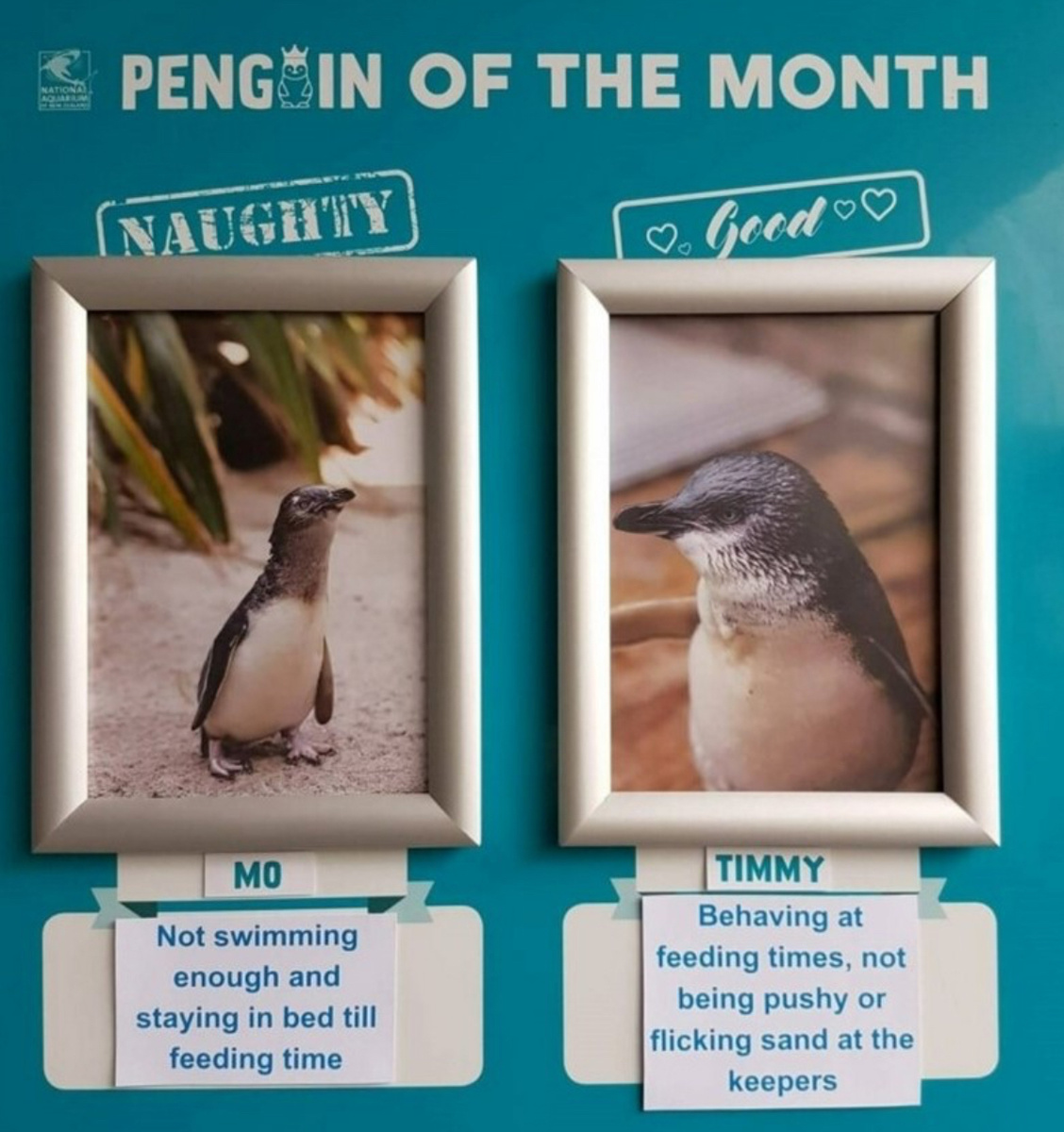 -6