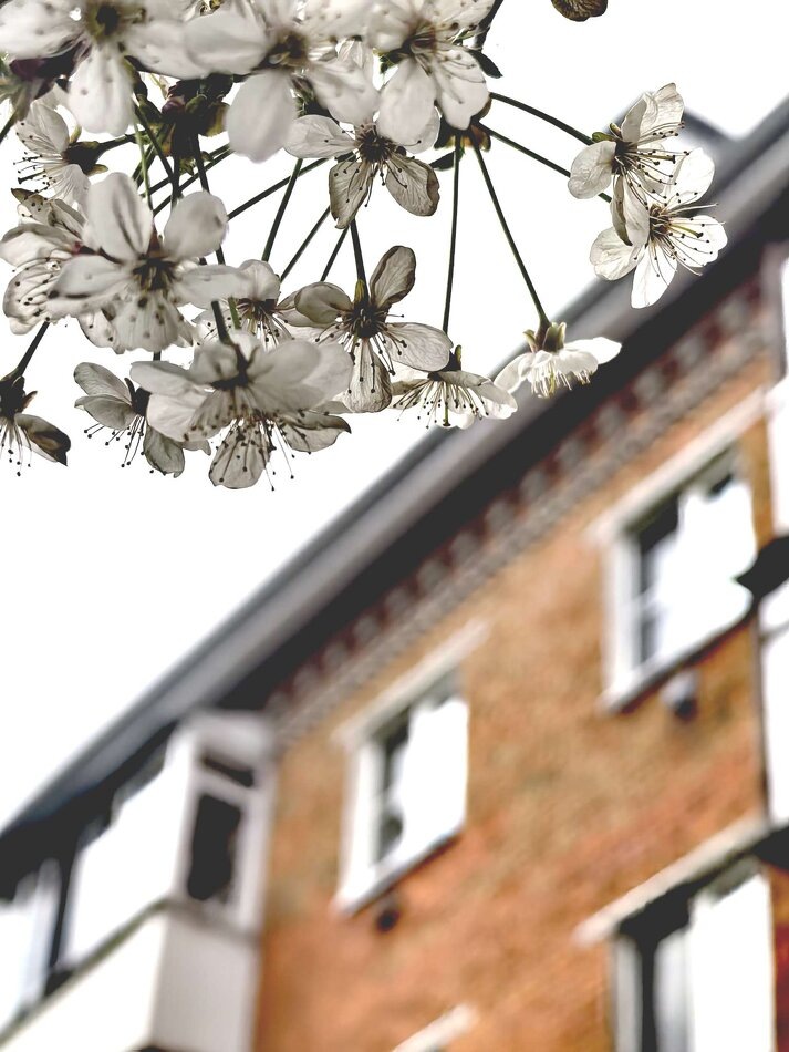 
Фото авторское