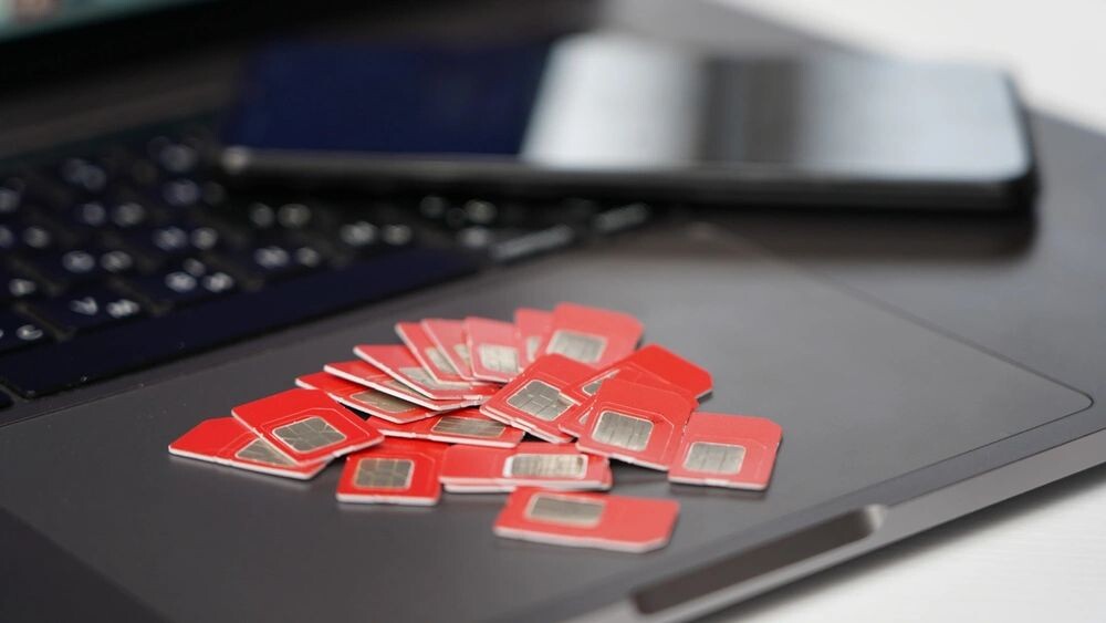    Фото: ShapikMedia/Shutterstock/Fotodom