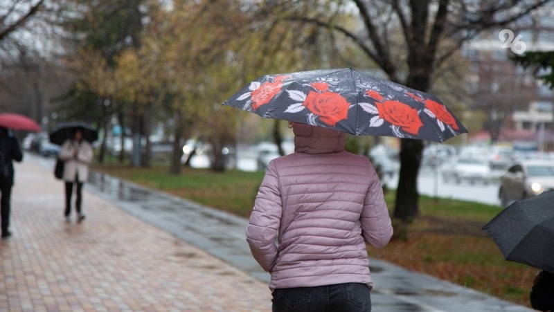      Фото: ИА «Победа26»