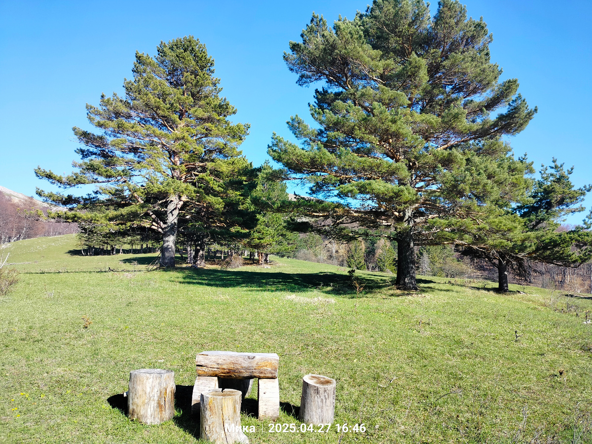 Заповедник Крыма 