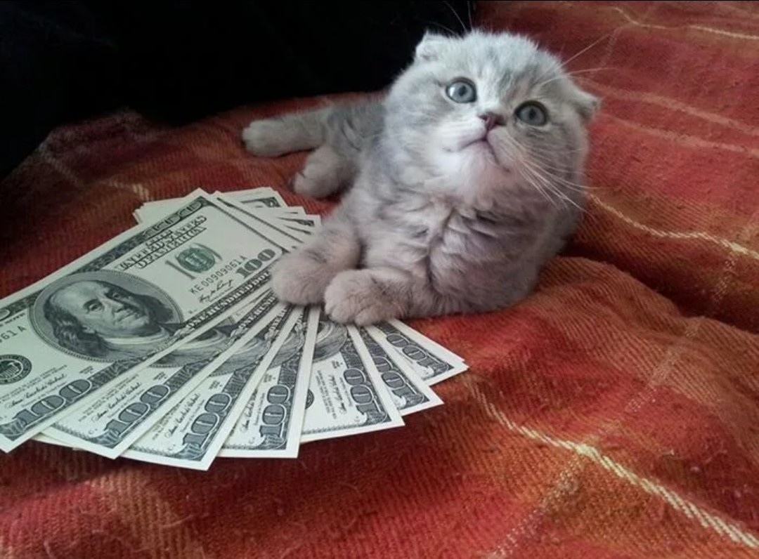 Картинка для настроения 