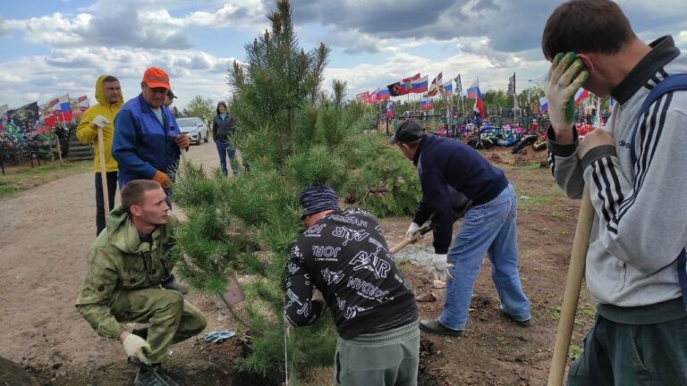   В Оренбурге на аллее погибших бойцов СВО высадили 50 сосен Белов Михаил Александрович