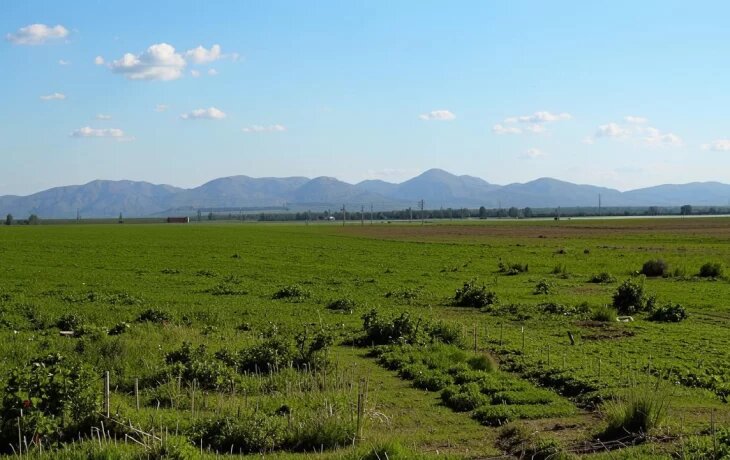    Мой гектар на Дальнем Востоке