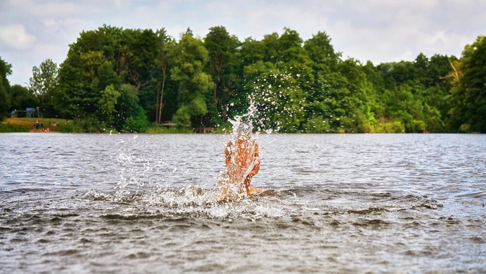    Фото: DR pics/Shutterstock/Fotodom