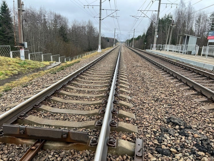 Фото: Екатерина Царева