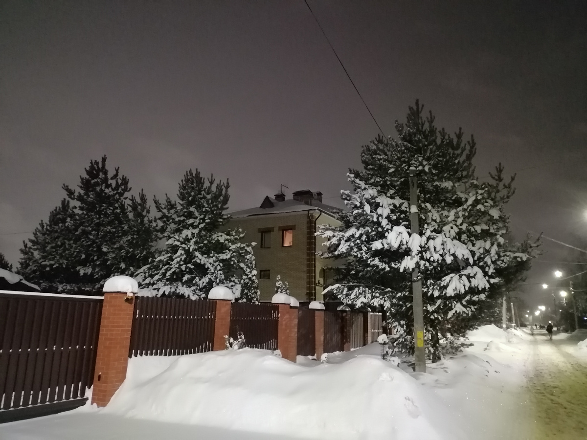 Авторское фото М.В. Гуреева (11.12.2023)