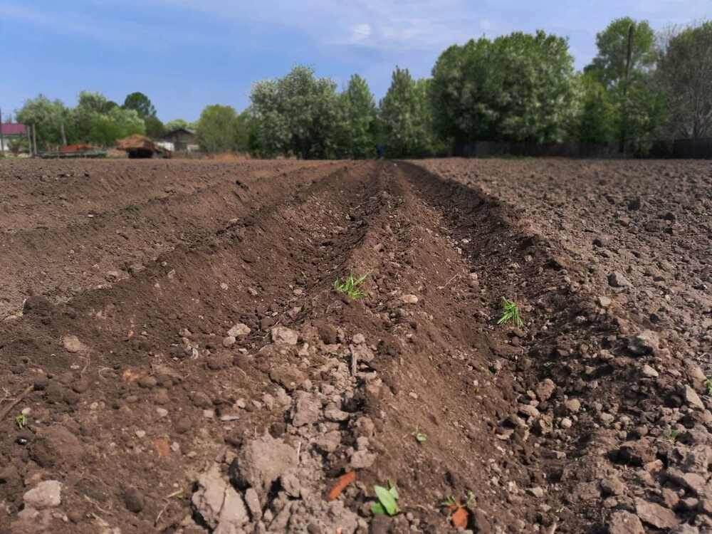    Фото: Амур.инфо