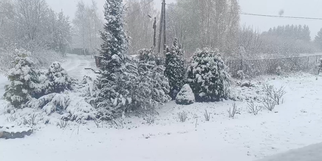 Второй день идёт снег....нет электричества....