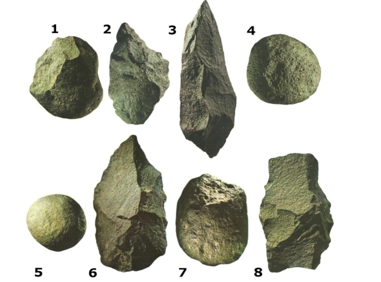 Первые находки, сделанные в 1982 году. (Фото: theslide.ru).