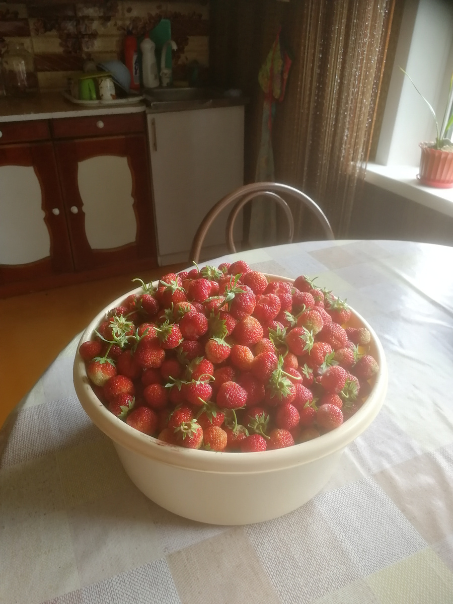 Чтобы вырастить клубнику в Сибири, необходимо вложить не мало труда.