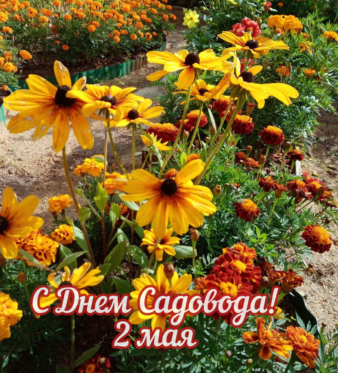 фото из альбома автора