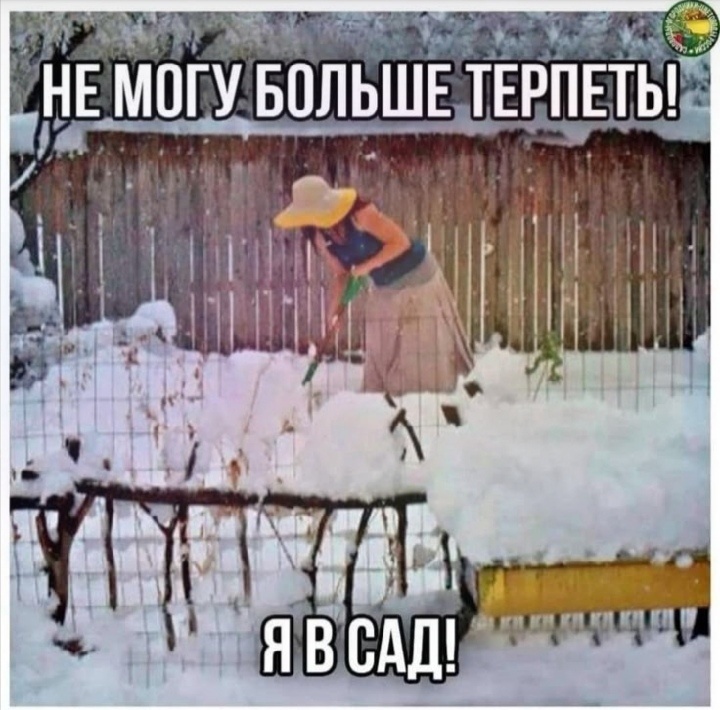 свободный доступ интернет