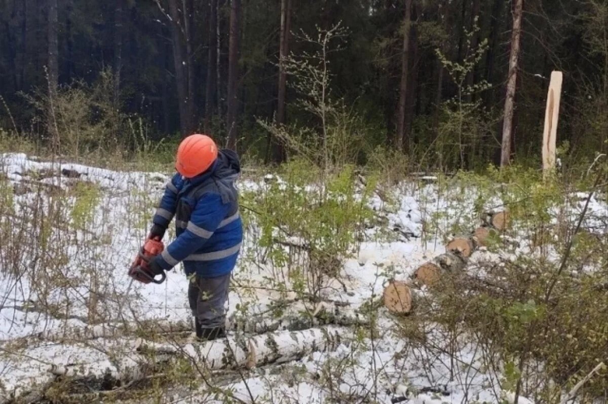    В Тверской области восстанавливают электроснабжение после непогоды
