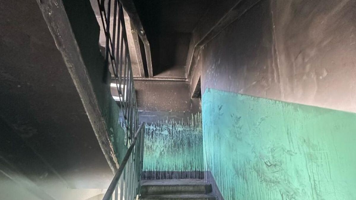     Источник: Пресс-служба ГУ МВД РФ по Петербургу