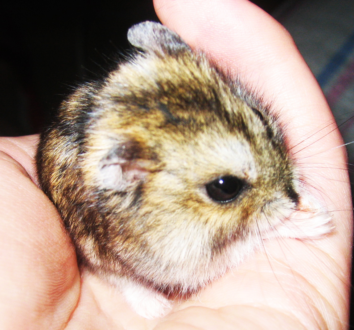 Фото из личного архива