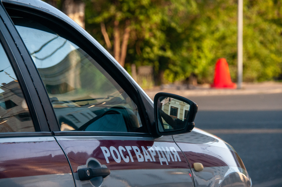 Мурманчанина будут судить за нападение на росгвардейца.  Фото: Светлана Возмилова