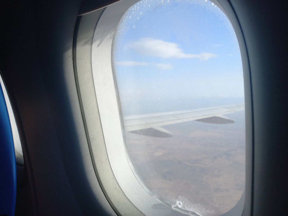 Фото автора.