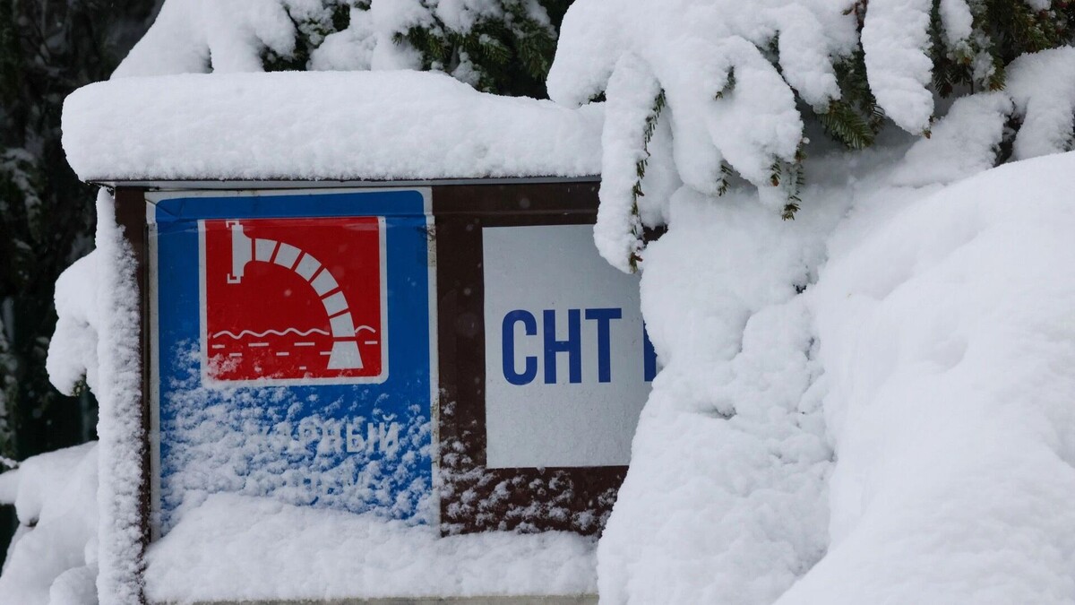 Московская область, Дмитровский район: после снегопада 2 маяАвтор: Гердо Владимир. Источник: ТАСС