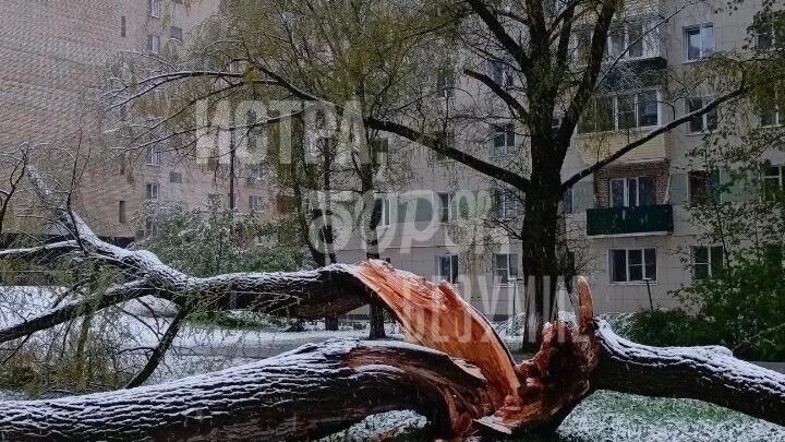 Оперативные службы планировали справиться с последствиями стихии за два-три часа, но ситуация серьезнее. Фото: Тг-канал Часовой погоды|Ставка|Тишковец