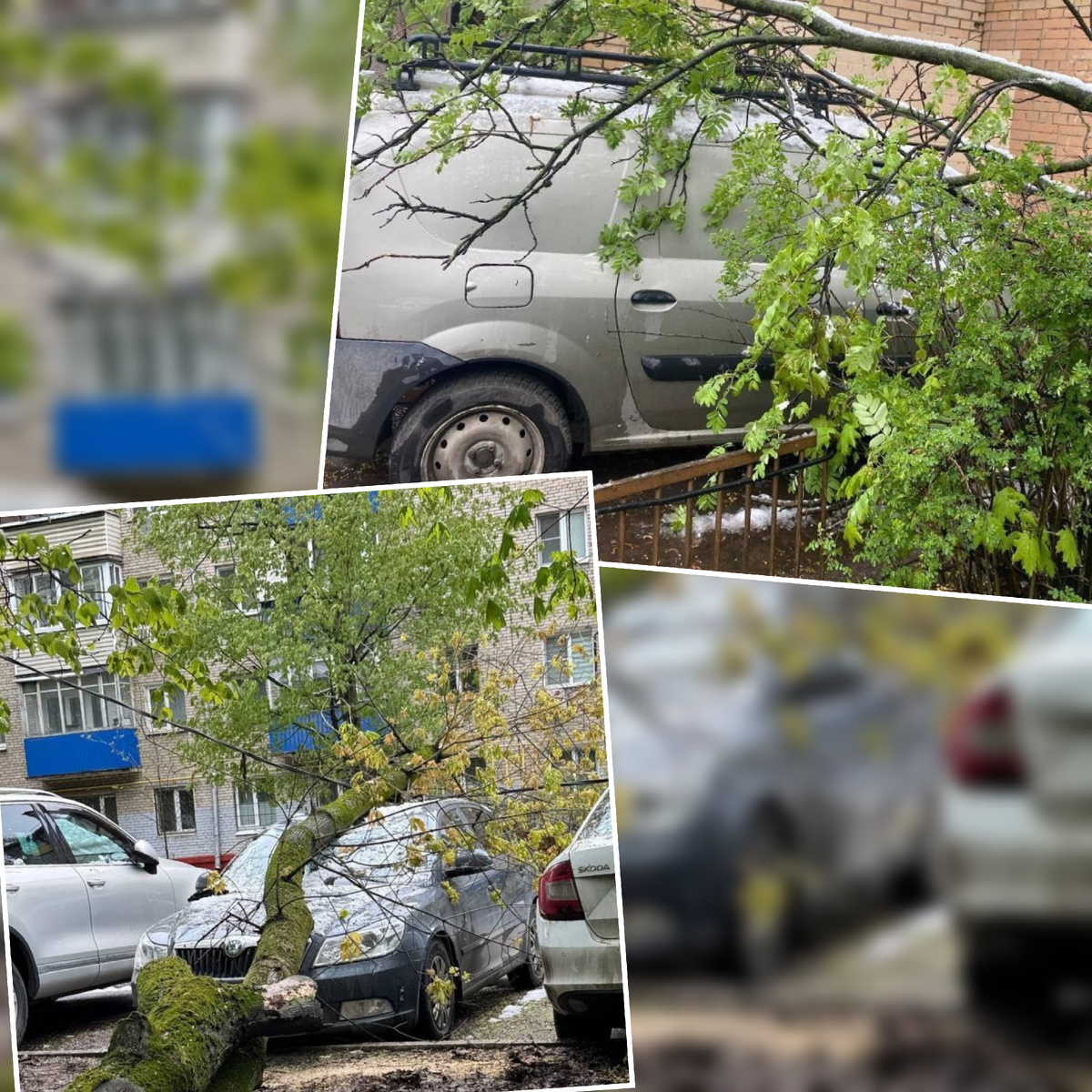 Фото из чата города.