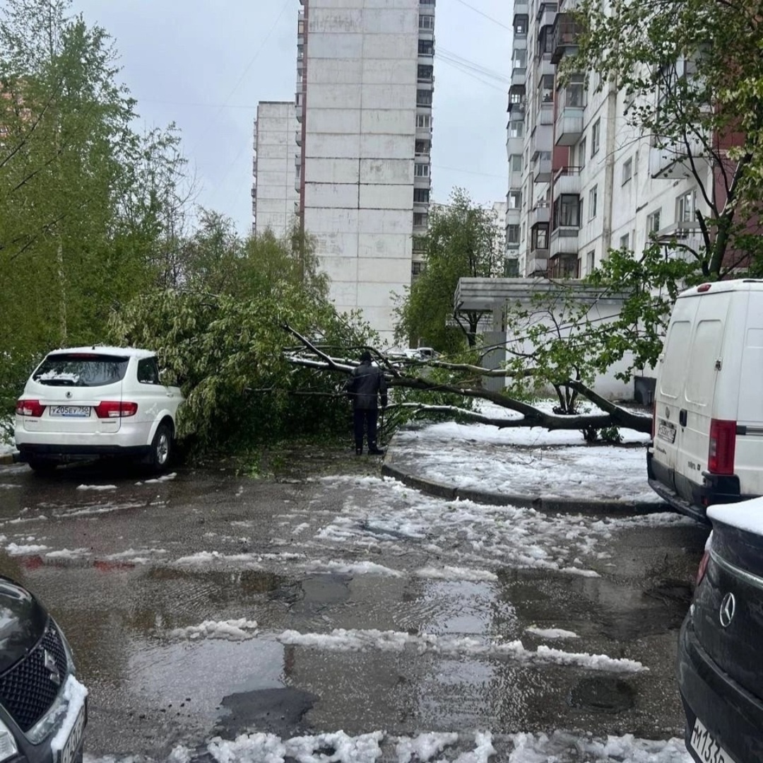 Фото из чата города.