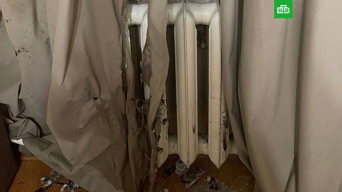    Фото: @cheb_police / t.me