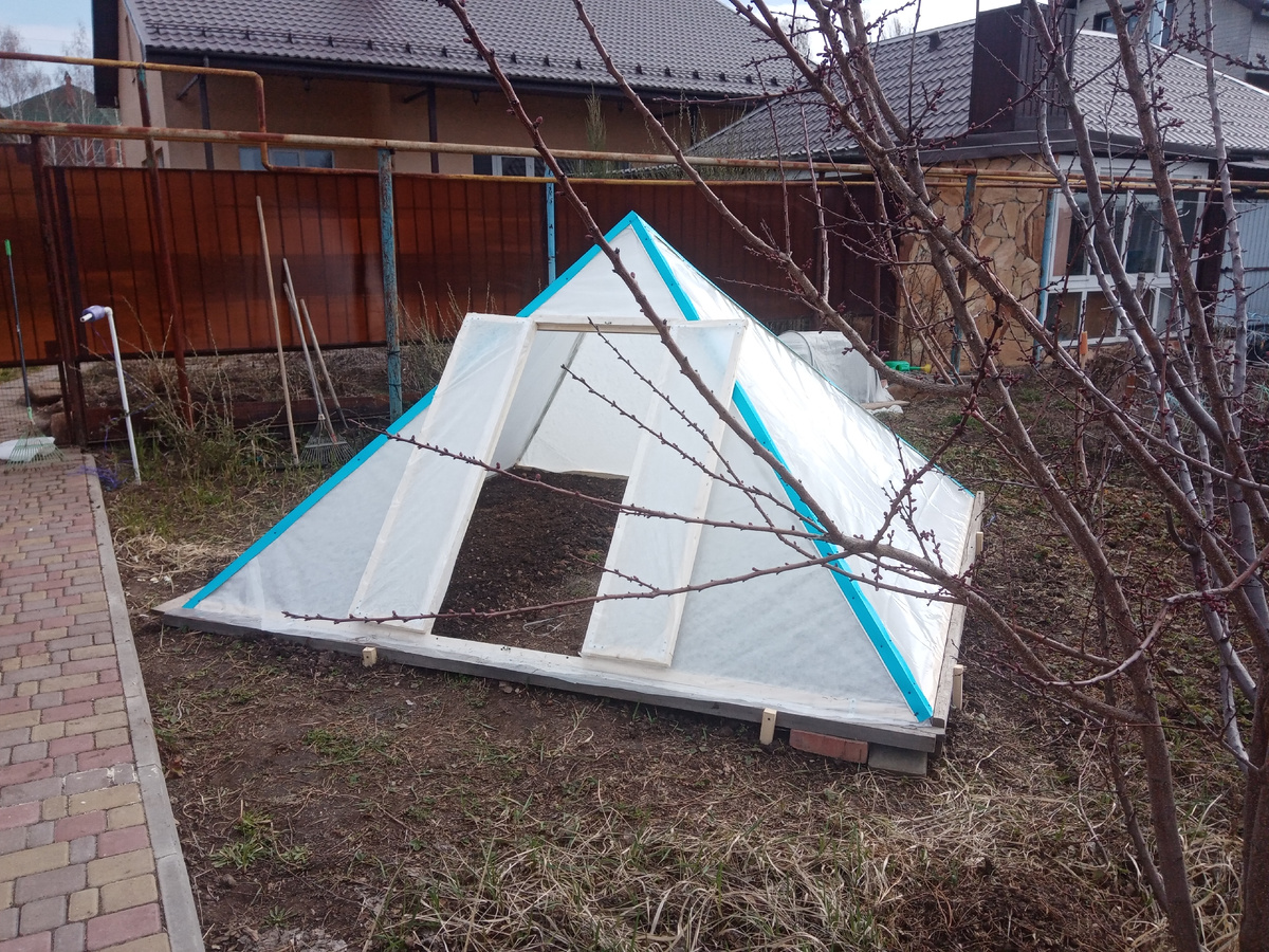 Фото автора. Пирамида-теплица с двойным укрытием. Сверху пленка 300 мк. Внутри спанбонд.