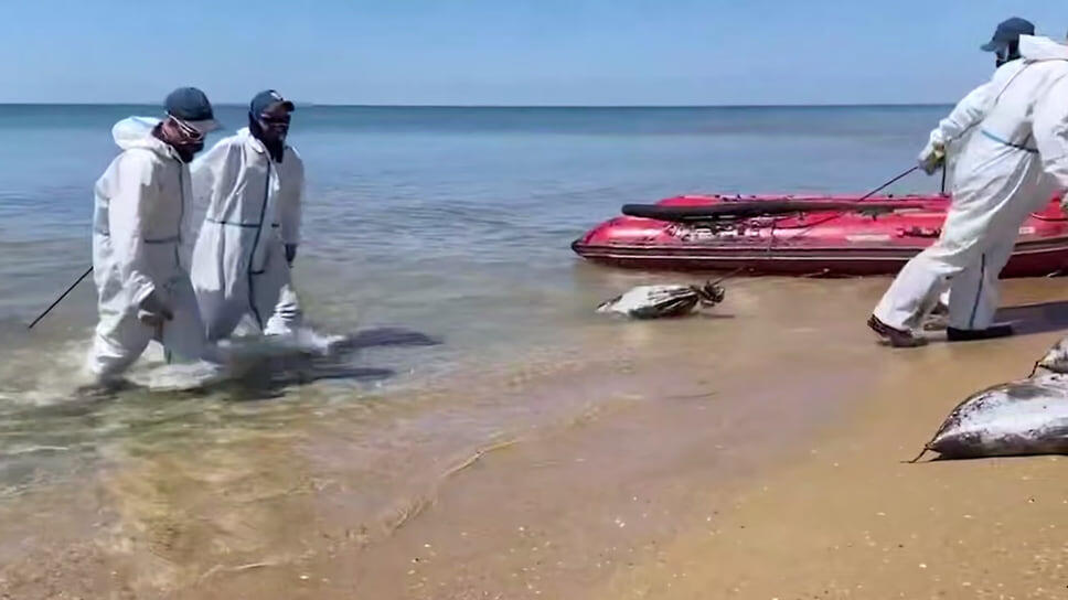 Фото: Оперативный штаб Краснодарского края